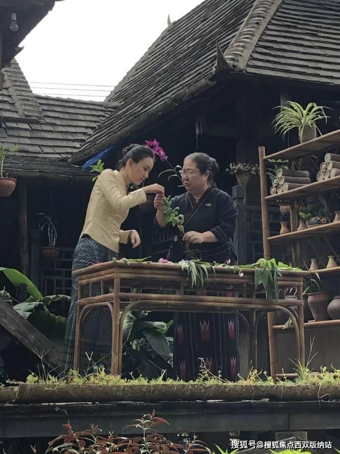 用黑龙江四季美景打开大寒节气!190秒延时摄影看牡丹江24小时